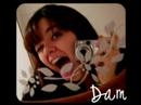 Dam - Um mundo por tras Dam - Um mundo por tras
