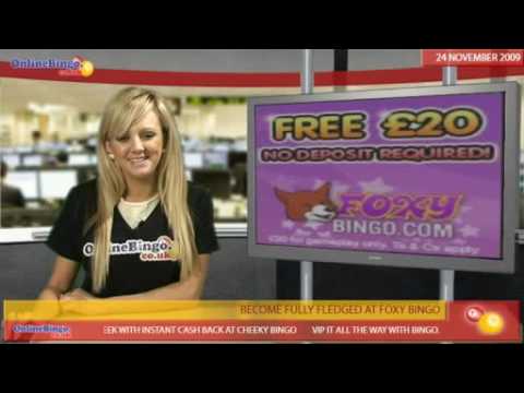 foxy bingo