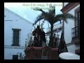 DOMINGO DE RAMOS 2008 TOCINA