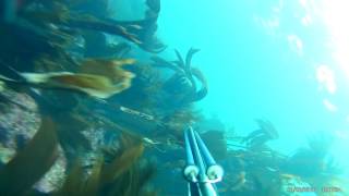 Pesca con Guillermo