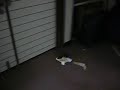 Picooz Mini RC Helicopter Light