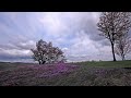 ???? [TIME LAPSE PHOTOGRAPHY]