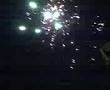 Dita e Pavarsis ne Shtime 2008
