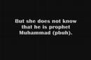 Don't talk to me about Muhammad(PBUH)