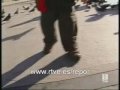 Repor - 'Plagas urbanas'