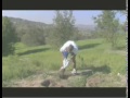 Growing Vegetables: Part 1 Growing Vegetables: Part 1