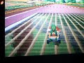 red-turtle-shell-glitch-mkds.html
