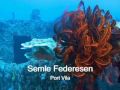 The Semle is a must do wreck dive when Diving in Vanuatu