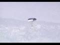X-38-research-aircra