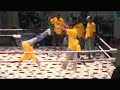 lors de ce battle fut consacre le groupe de king of dancers edition 2006, le groupe qui a gagne remporta le money price de 2500?.

toute les informations sont aussi sur le site suivant: http://kingofdancers.skyblog.com