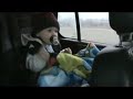 A baby rocks his whole body while listening in a rock music!! Yeah Baby Rock!!