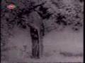 a��k veysel  in belgeseli 3