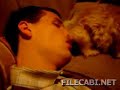 dog kiss dog kiss