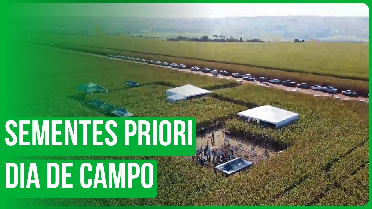 Sementes Priori - 4º Dia de Campo Milho