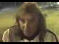el bamby en san bernardo