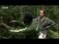 Sigourney Weaver investigates the snares used by poachers - BBC wildlife