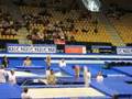 Europeu sincro Amadeu N/ Samuel C. 2
