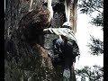 California Condor Redwood Nest Part 2