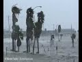 Hurricane Ike Footage Extreme Video Stock Hurricane Gustav