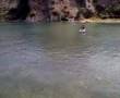 capaccio,agropoli ,recupero grosso pesce nel porto.
