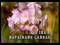 KARAOKE - Apo Hiking Society - Kaibigan