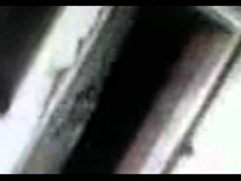 videos de terror reales