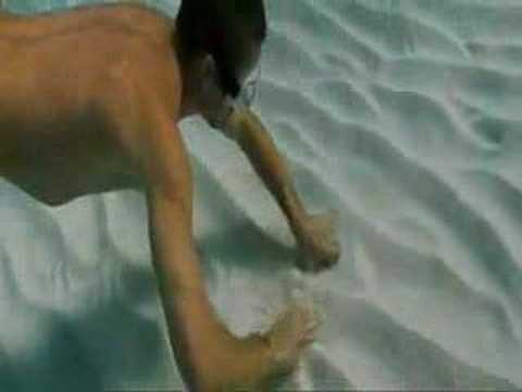 Paul Walker video