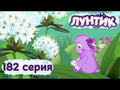 Ароматы осени......... 0 Ароматы осени.........