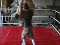 Double Hurricanrana Double Hurricanrana