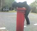Rochelle Trying To Get On A Post Box!