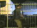 videos de fede cristobal