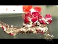 Chatham Lab Created Gems & Diamonds @ CharlesCollection.com