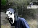 Counter strike 4D