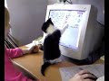 poes op film poes op film