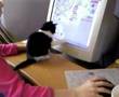 poes op film