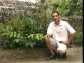 Donaciones. REforestacion Tchimpounga