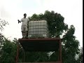 Donaciones. REforestacion Tchimpounga