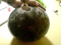 Bowlingkugel bohren pt. 2