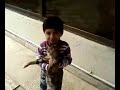 cat.mp4.mp4