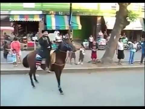 horses grand national horses grand national