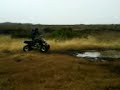 honda nd suzuki quads