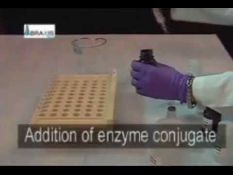Abraxis Kits Water Test Video