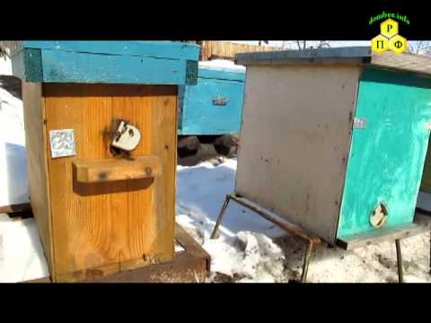 YouTube Трейлер