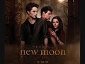 11. The Violet Hour - Sea Wolf ( New Moon Soundtrack) + Lyrics and Tracklist