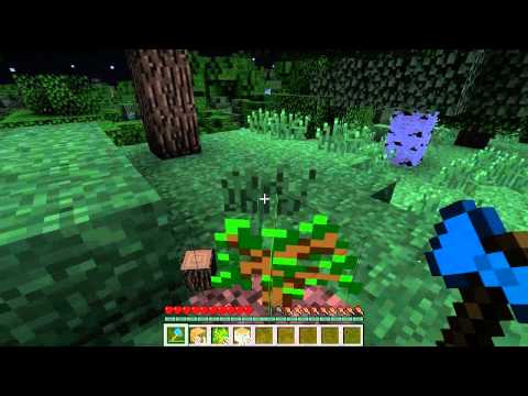 how to cut a branch and replant