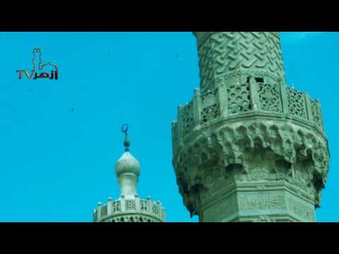 الشرح الكبير للشيخ على مختصر خليل - فقه مالكى الحلقة 16 للدكتور احمد طه الريان