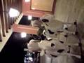 videos de Dos Gilipollas y 2 Vacas