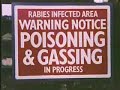 Public Information Film - Rabies Outbreak in Britain