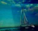 VIDEO FROM THE CD 