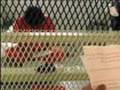 Should Jawad Be Free?